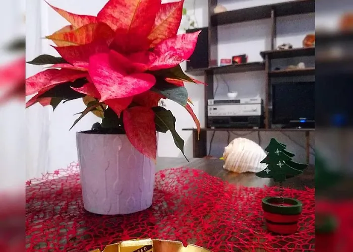 Casa Del Maestrale *